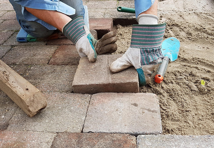 Heijermanslezing auto-immuunziekten en bewegingsapparaat