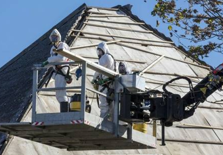 Longartsen bundelen krachten voor beroepsziekten