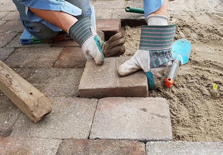 Coronel Instituut levert bijdrage aan wereldwijde schatting impact werk op gezondheid