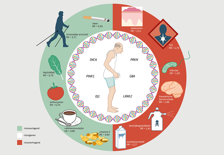 Parkinson en preventie