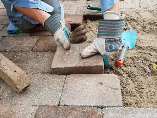 Heijermanslezing auto-immuunziekten en bewegingsapparaat